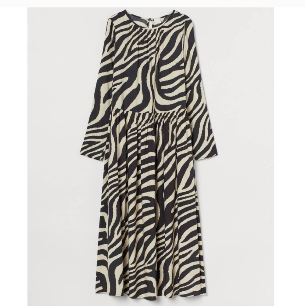 H&M Zebra Print Long Sleeve Dress